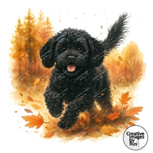 May include: Watercolor illustration of a black dog running through autumn leaves. The dog has a fluffy coat and is depicted with its tongue out. The background features a blurred forest scene with warm, autumnal colors.