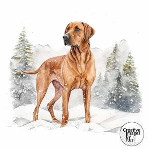 May include: Watercolor painting of a brown Rhodesian Ridgeback dog standing in a snowy landscape with evergreen trees and mountains in the background. The dog is the focal point, with a detailed depiction of its fur and posture.