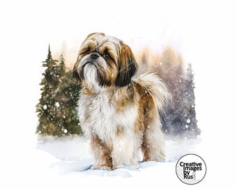 Shih Tzu Dog Clipart, Watercolour Winter Image, Instant Digital Download, High Quality JPEG JPG, Sublimation, Wall Art, Commercial Use