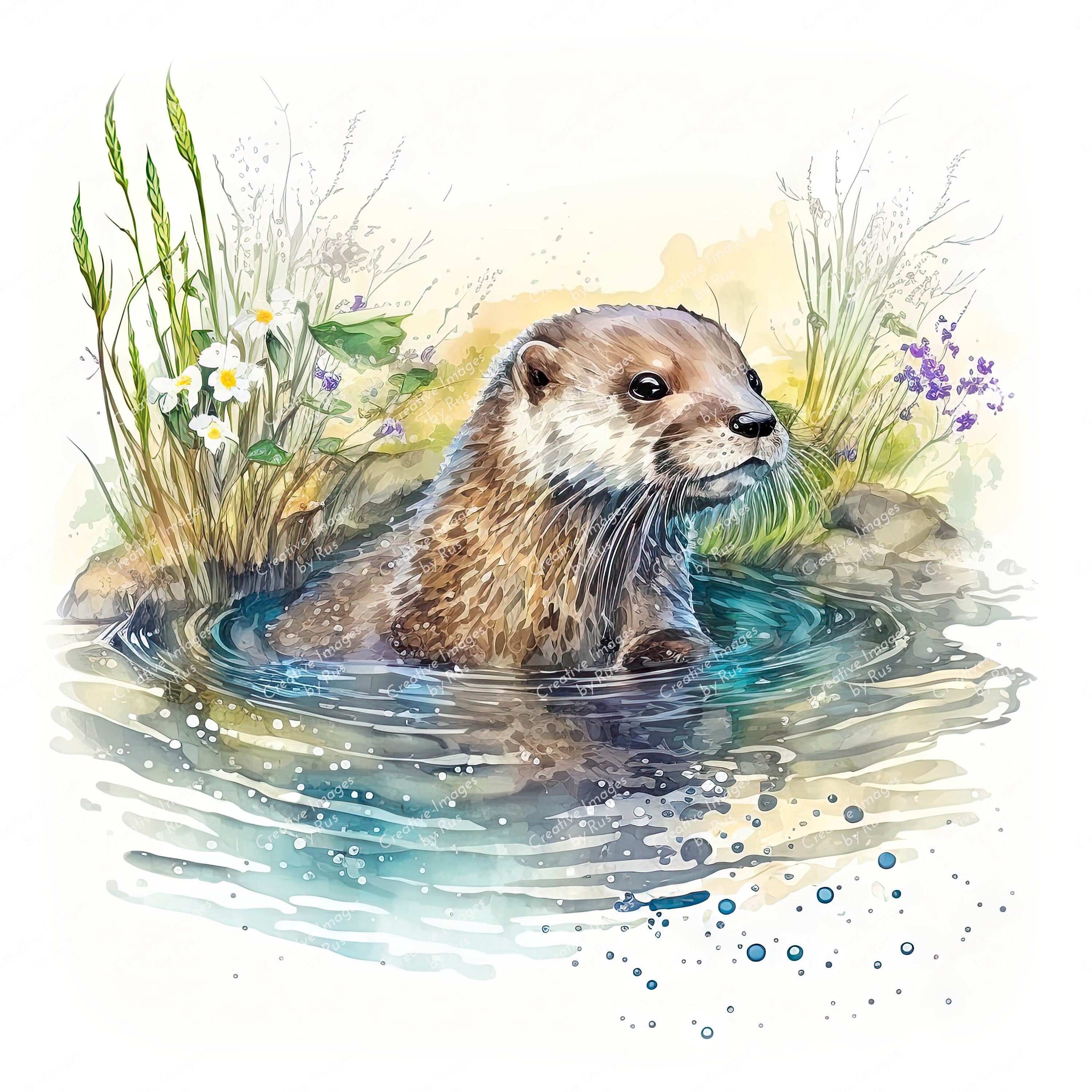 Otter swimming, a river scene in watercolor.