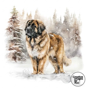Leonberger Dog Clipart, aquarel winterbeeld, instant digitale download, hoge kwaliteit JPEG JPG, sublimatie, kunst aan de muur, commercieel gebruik