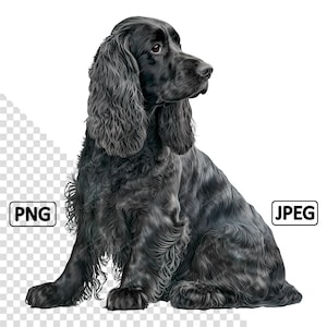 Cocker Spaniel Black Dog Clipart, Watercolour Image, Instant Digital Download, Quality PNG & JPEG JPG, Sublimation, Wall Art, Commercial Use