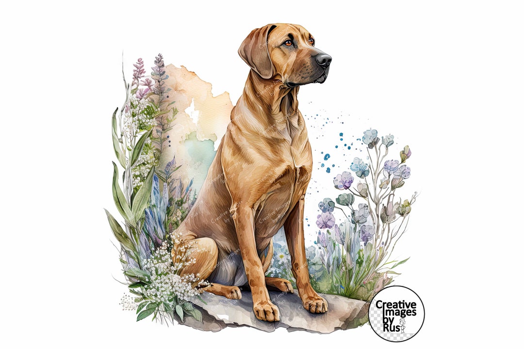 Rhodesian Ridgeback Dog Clipart, Watercolour Garden Image, Instant ...