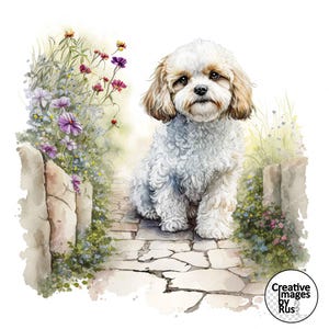 May include: A white and brown fluffy dog with a sweet expression sits on a stone path surrounded by watercolor flowers.