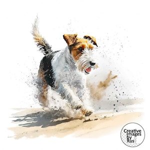 May include: A white and brown wirehaired fox terrier dog runs through the sand, kicking up a spray of sand and water. The dog is in mid-stride, with its tongue out and its ears flapping in the wind.