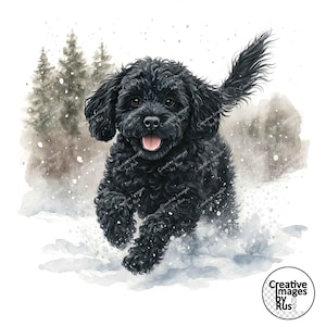May include: Watercolor illustration of a black dog running through the snow. The dog has curly fur and a pink tongue. The background features a snowy landscape with evergreen trees. The dog is the focal point.