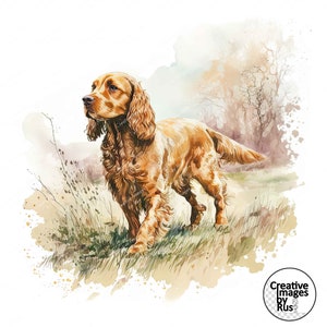 May include: A watercolour painting of a golden brown cocker spaniel standing in a field of long grass. The dog is looking to the left of the image, with its ears pricked up and its tail wagging.