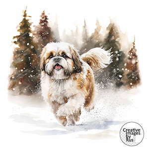 Clipart chien Shih Tzu, image hivernale aquarelle, téléchargement numérique instantané, haute qualité JPEG JPG, sublimation, art mural, usage Commercial