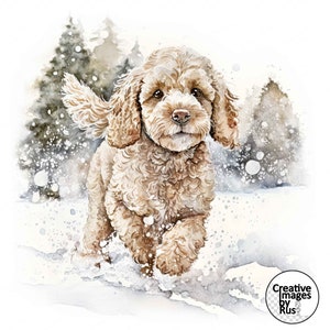Cockapoo Cream Dog Clipart, Watercolour Winter Image, Instant Digital Download, High Quality JPEG JPG, Sublimation, Wall Art, Commercial Use