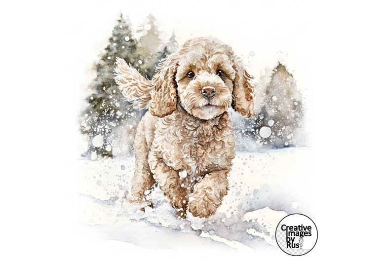 Cockapoo Cream Dog Clipart, Watercolour Winter Image, Instant Digital ...