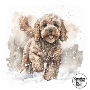 Cockapoo Brown Dog Clipart, Watercolour Winter Image, Instant Digital Download, High Quality JPEG JPG, Sublimation, Wall Art, Commercial Use