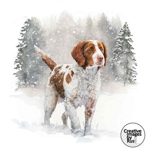 Clipart cane Brittany Spaniel, immagine invernale ad acquerello, download digitale istantaneo, JPG JPEG di alta qualità, sublimazione, arte della parete, uso commerciale