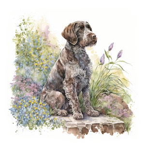 May include: A brown and grey wirehaired dog sits on a rock with a background of green and purple wildflowers.