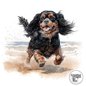 Cavalier King Charles Spaniel Dog Clipart, Imagen de acuarela, Descarga digital instantánea, HQ JPEG, Sublimación, Arte de pared, Uso comercial