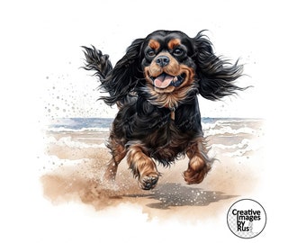 Cavalier King Charles Spaniel Chiffon Cover Up - Tri Cavalier King Charles Spaniel Chiffon Cover Up - Tri