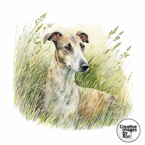 Clipart cane levriero, bella immagine ad acquerello, download digitale istantaneo, JPG JPEG di alta qualità, sublimazione, arte della parete, uso commerciale