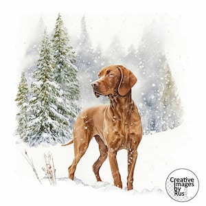 Imágenes prediseñadas de perro Vizsla húngaro, imagen de invierno de acuarela, descarga digital instantánea, JPEG JPG de alta calidad, sublimación, arte de pared, uso comercial