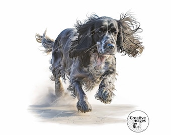 Cocker Spaniel Dog Clipart, Watercolour Beach Image, Instant Digital Download, JPEG, Sublimation, Wall Art, Commercial Use Blue Roan