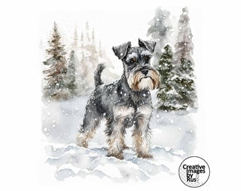 Miniature Schnauzer Dog Clipart, Watercolour Winter Image, Instant Digital Download, Quality JPEG JPG, Sublimation, Wall Art, Commercial Use