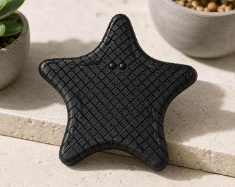 3D Printed Articulated Starfish Fidget Toy, Flexible Sensory Desk Toy, Ocean Sea Star Fidget, Anxiety Relief, ADHD Gift, Cute Pocket Toy