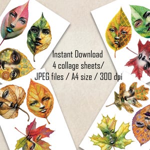 May include: Four digital collage sheets featuring colorful autumn leaves with faces. Each sheet is A4 size and 300 dpi. Instant download, JPEG files.
