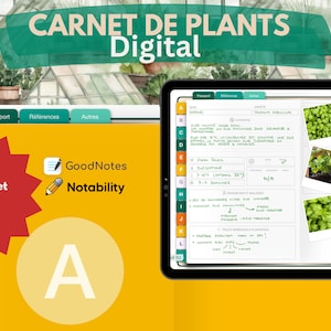 Carnet de plantes jardin fiches techniques de plantes jardinage information technique jardin en francais