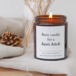 May include: A lit brown glass jar candle with the text "Basic candle for a basic bitch" on a white label. The candle is next to a vase of dried flowers and a pinecone on a wooden shelf.