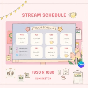 Pink Aesthetic Stream Schedule Template, 7 Day Editable Design (Canva, Digital Download)