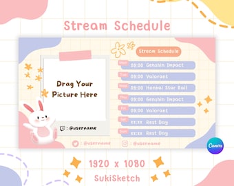 Kawaii Bunny Stream Ablaufplan Vorlage: Bearbeitbares Canva Design (Digitaler Download)