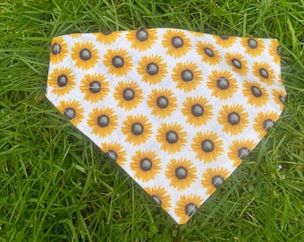 Sunflower over the collar dog bandanas