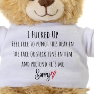 Apology Gifts For Him, How To Forgive, Apology Gifts For Son, Gifts To Say I'm Sorry For Him, I'm Sorry Gifts For Him, Sorry Teddy Bear