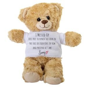 Cadeaux d'excuse pour lui, Comment pardonner, Cadeaux d'excuse pour son fils, Cadeaux pour lui dire que je suis désolé, Cadeaux pour lui, Désolé ours en peluche