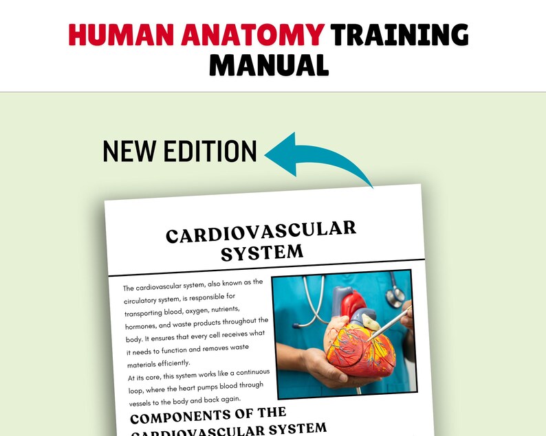 Human Anatomy Training Manual, Level 3, Editable PDF (digital Download ...