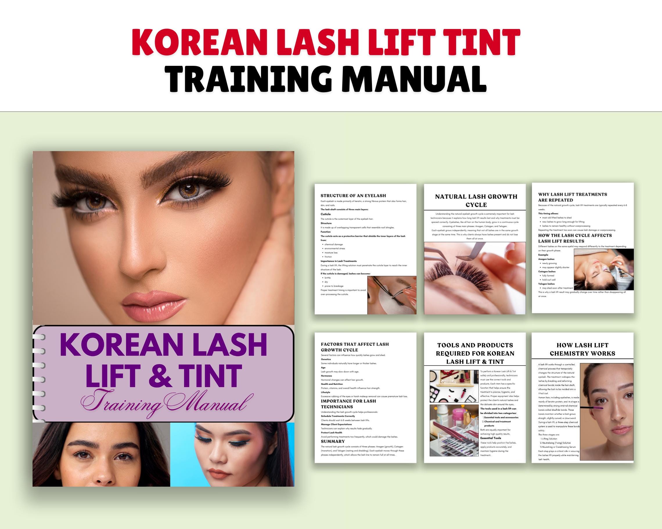 Korean Lash Lift Tint Training Manual – Editable Canva Guide (digital ...
