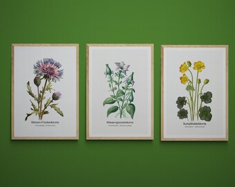 Riso Style for Living Room Set of 3 Wildflowers Nature Minimalist Plants Art Botanical Rustic Wall Decor