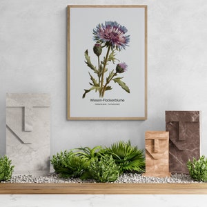 Meadow Knapweed Riso Style Botanical Wall Art For Home Minimalist Floral Painting Nature Art