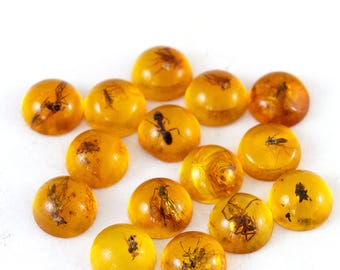 Insectos en ámbar, cabujones diminutos de 5 mm, ámbar báltico auténtico, una pieza seleccionada al azar.