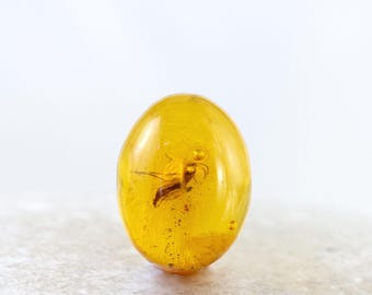 Cabujón de ámbar báltico auténtico con inclusión de mosquito fósil (6 mm x 8 mm)