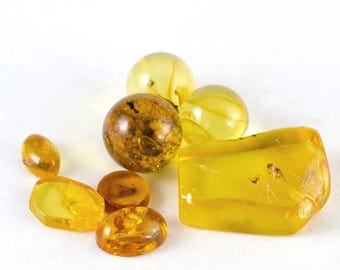 Lot of 8 Baltic Amber Specimens with Small Insect Inclusions  (Certificate Included)