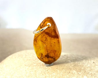 Auténtico dije de ámbar báltico con inclusión de insectos: un raro colgante de naturaleza fosilizada para collar o pulsera.