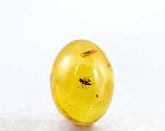 Genuine Baltic Amber Insect Inclusion Cabochon (6mm x 8mm)