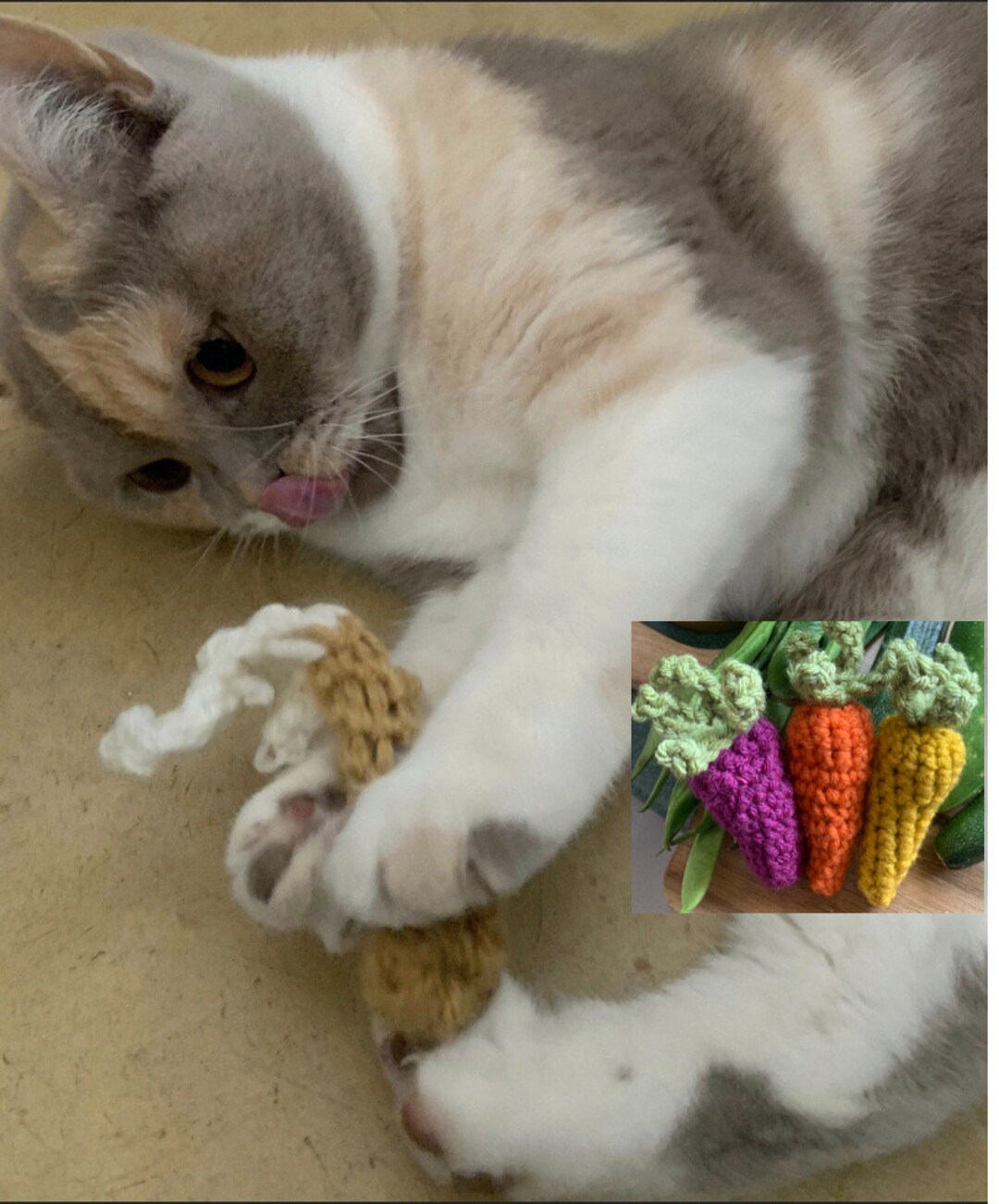 Crochet Catnip Cat Toys Rainbow Carrots & Fish Etsy