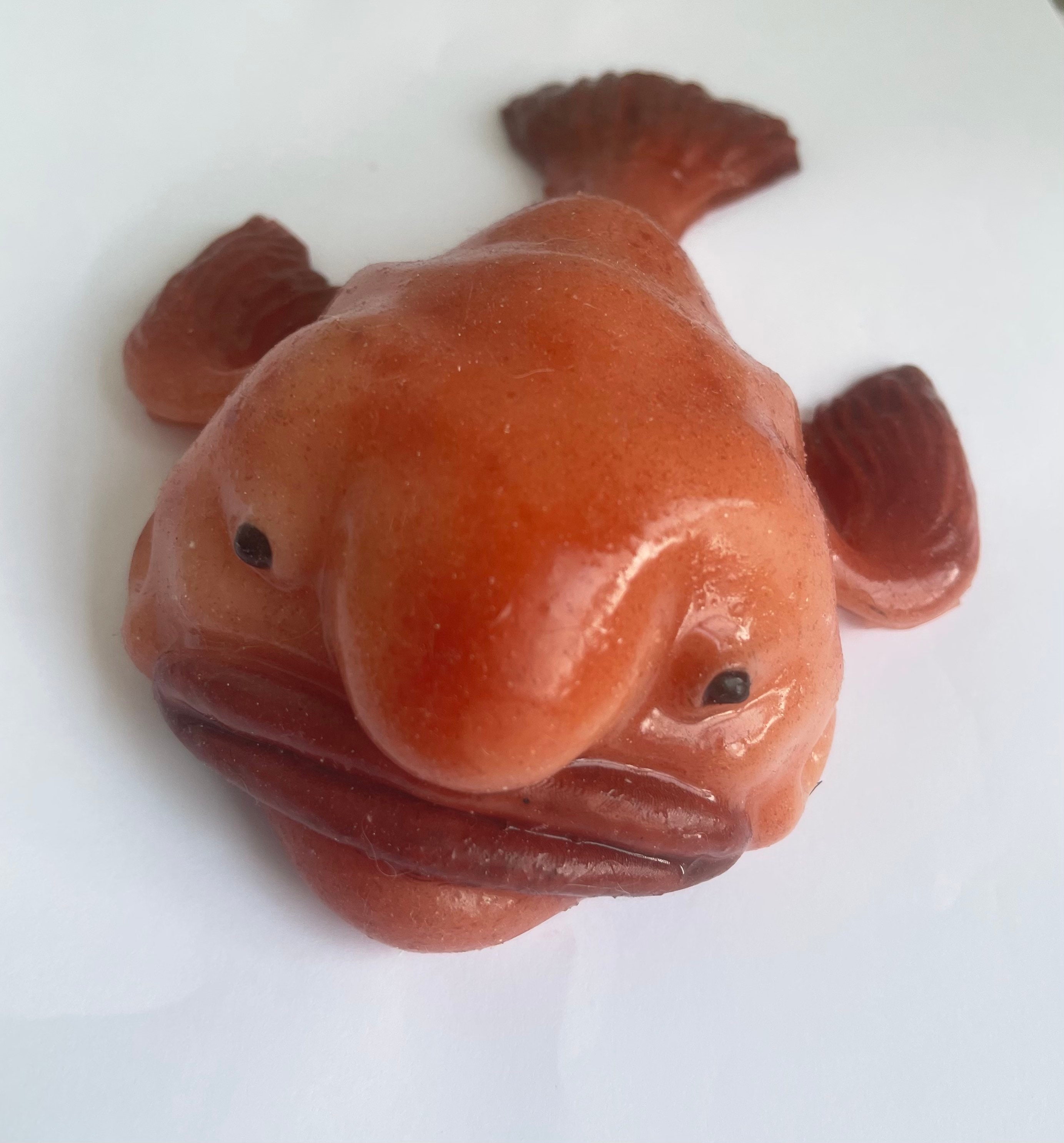 Blob Fish in Resin Pond Bowl Weirdo Gift Pet Blobfish 