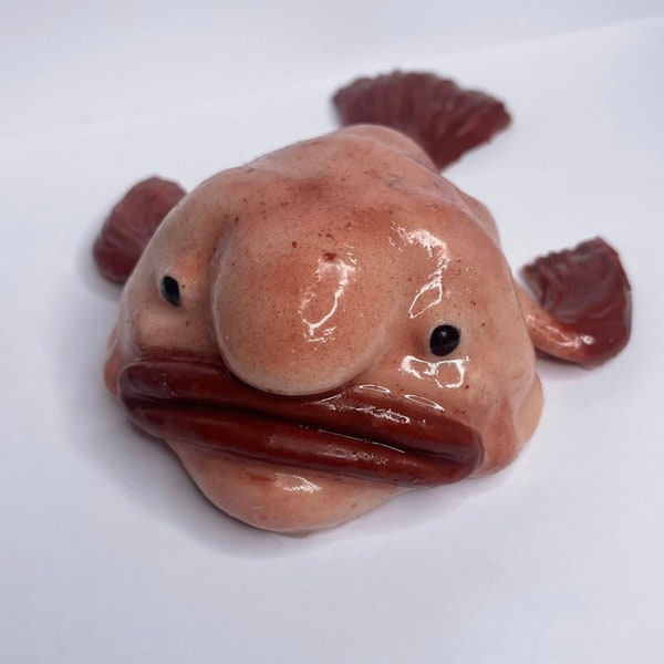 Squishy Blobfish Toy Etsy