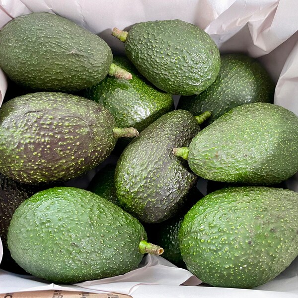 Organic Hass avocados, Premium quality avocados, hand-picked California grown avocados, avocado fruit box. Freshness Guaranteed