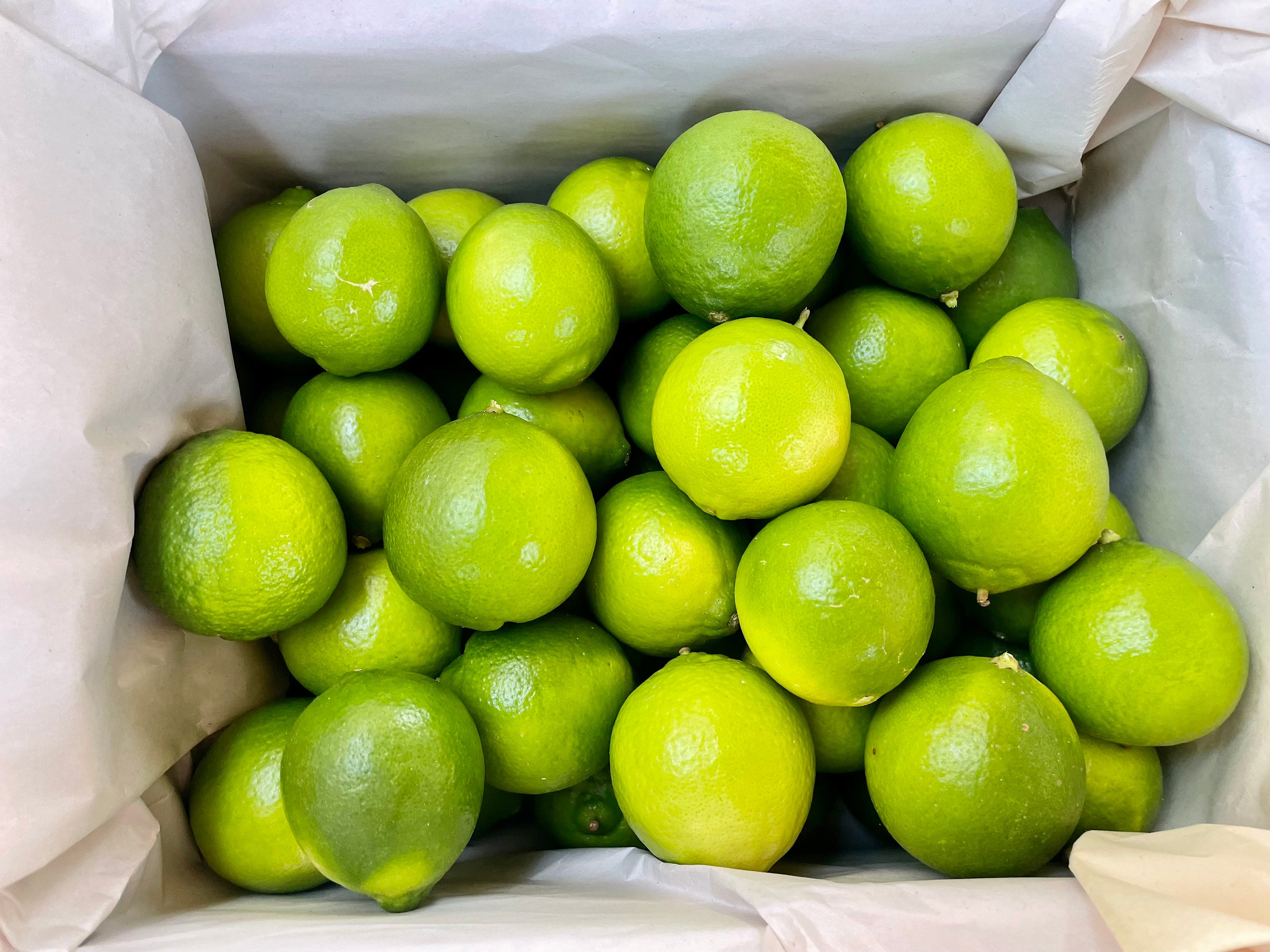 Fresh Seedless Limes Fruit Box, Locally Grown on a Small Farm in North