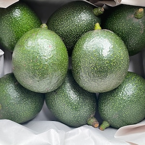 May include: A collection of seven whole avocados with dark green, pebbled skin and small brown stems, arranged closely together inside a box lined with white tissue paper. Each fruit has a rounded, oval shape and a firm, textured exterior.