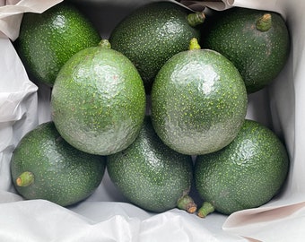 Organic Reed Avocado Box, California Farm Fresh,  Fruit Gift Basket, US Fast Delivery