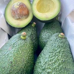 May include: Five avocados, four whole and one halved, with a green exterior and a light green interior. The avocados are arranged in a white paper-lined box.