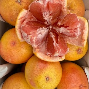 Star Ruby Grapefruit box, California Locally Grown, Hand-Picked, Farm to Table afbeelding 5
